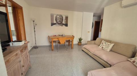 Foto 2 de Planta baixa de lloguer a Port de Pollença, Pollença