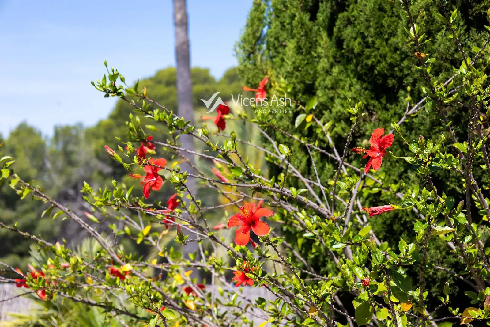 Garden of Houses for sale in Jávea / Xàbia  with Air Conditioner, Heating and Storage room