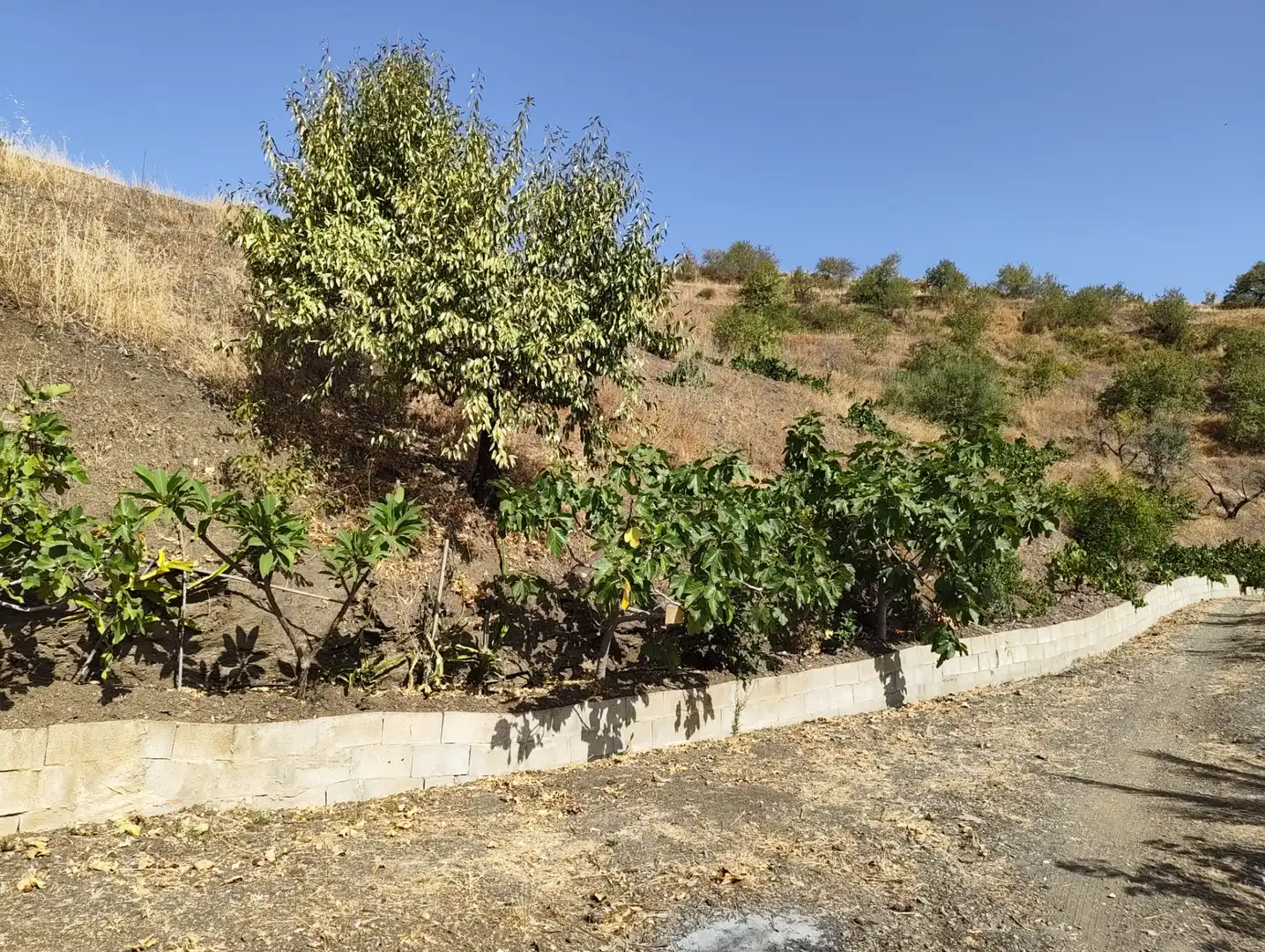 Country homes for sale in Almáchar  with Air Conditioner, Heating and Private garden