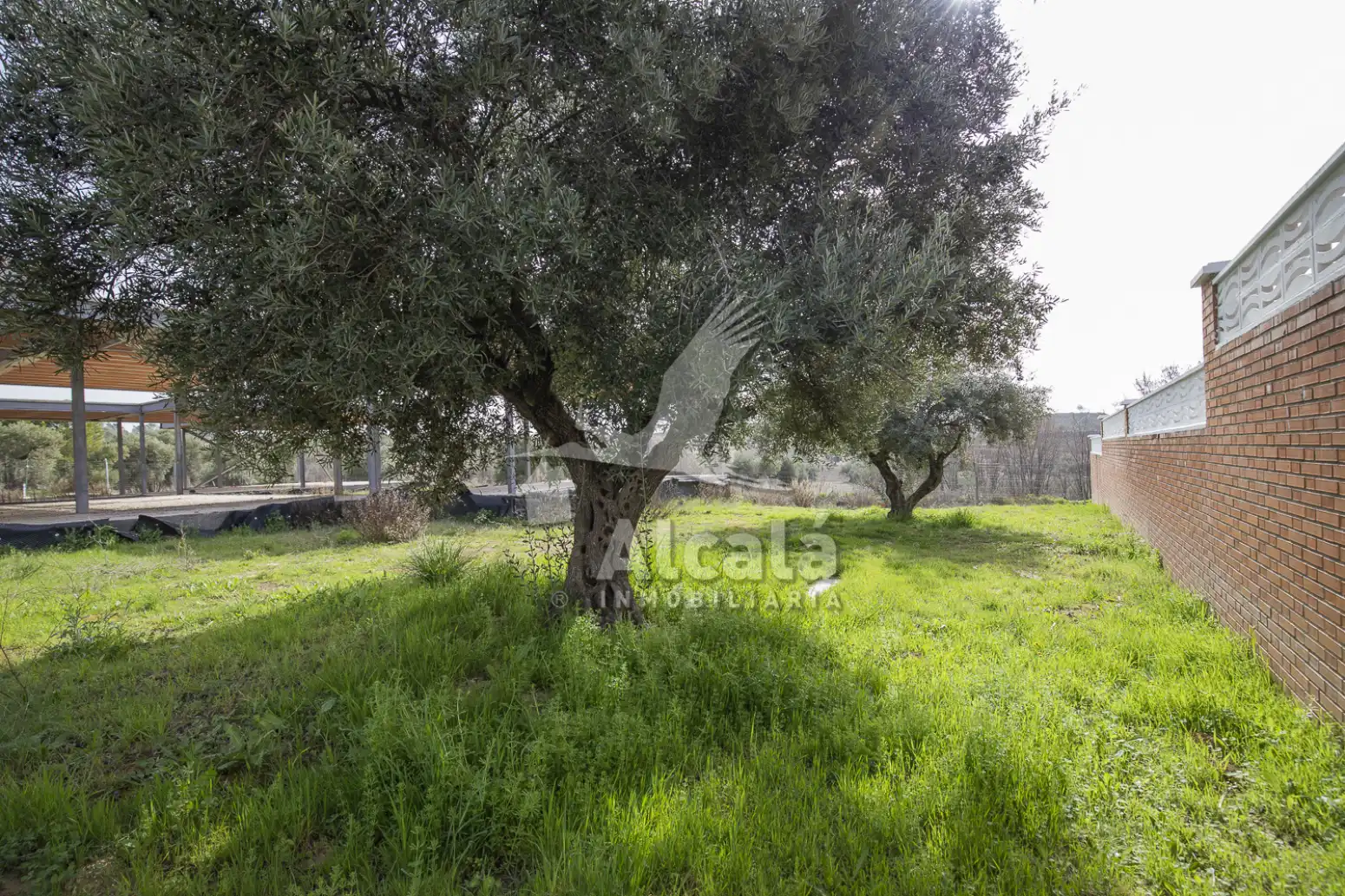 Terreny rústic en venda a Villalbilla pueblo, imagen 41