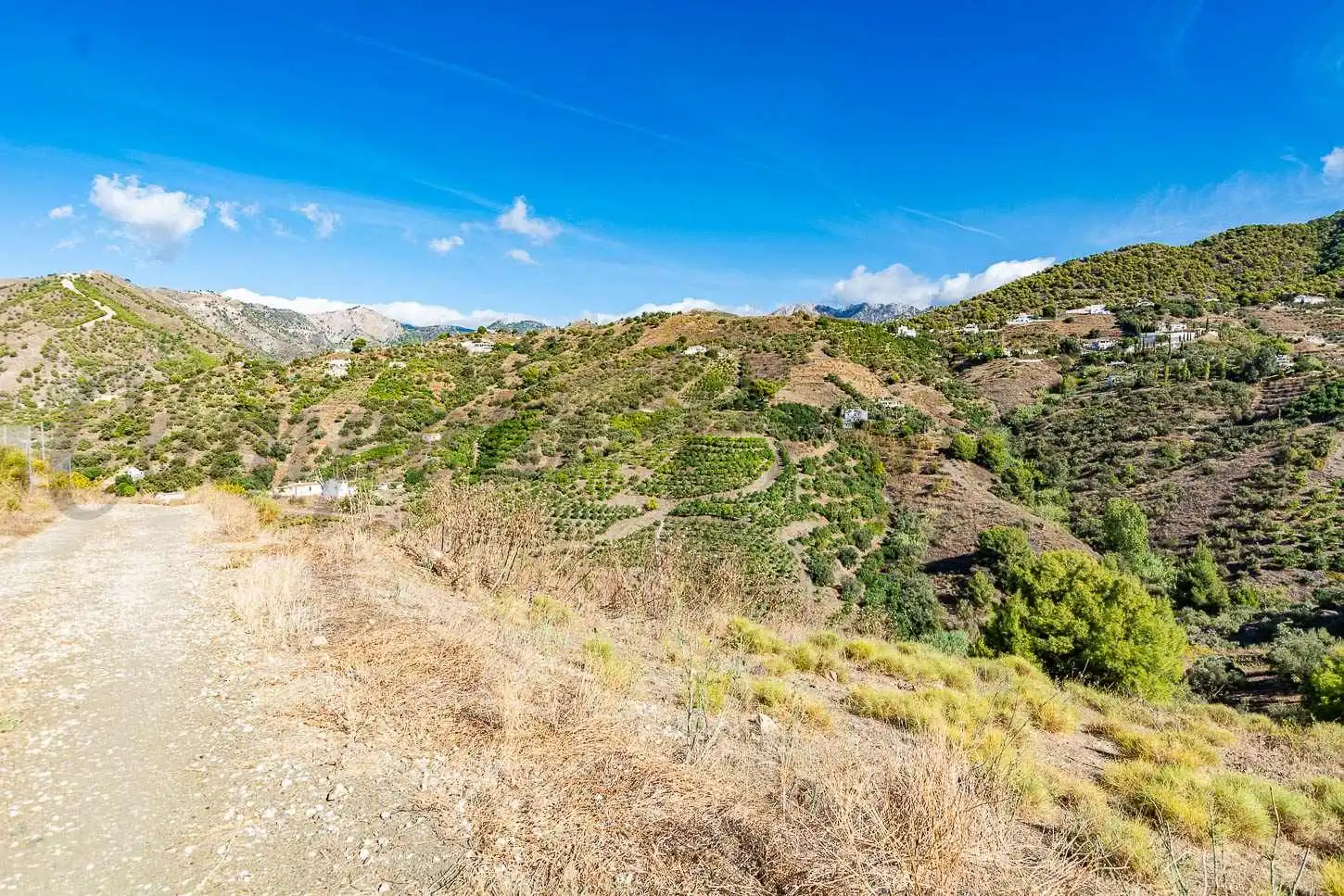 Terreno rústico en venta en Frigiliana, imagen 2