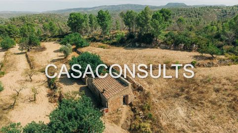 Foto 5 de Finca rústica en venda a Useras / Les Useres, Castellón
