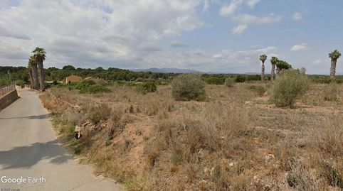 V14887 FINCA JUNTO A ZONA URBANIZADA OPCIÓN CASETA, immagine 4