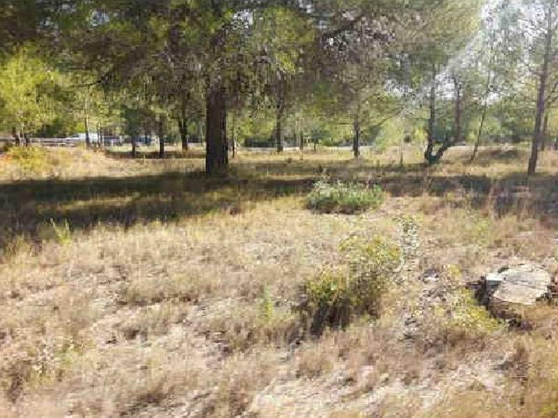 Land for sale in Estivella