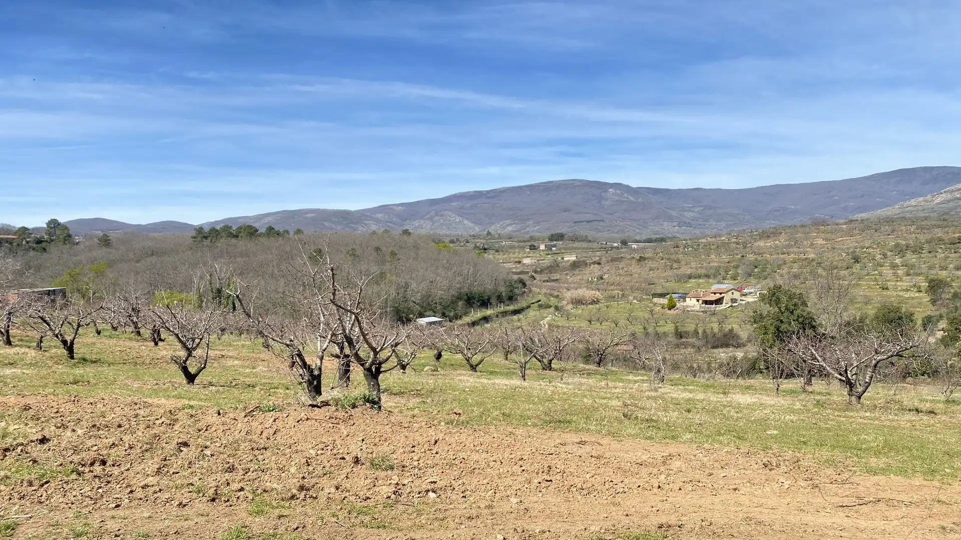 Terreni e lotti in vendita a Jaraíz de la Vera, imagen 2
