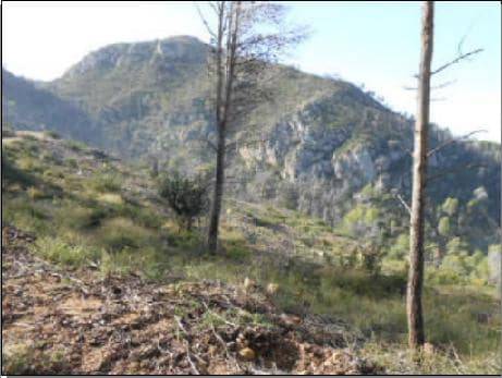 Terreno en Venta en CL PARTIDA EL COLLADO en Aielo de Rugat