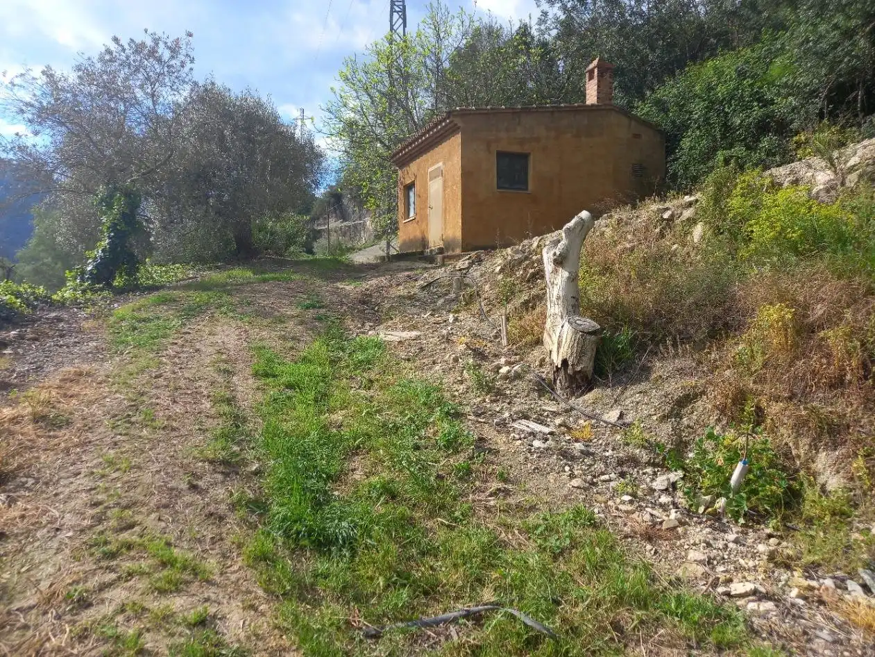 Terreny rústic en venda a Miravet, imagen 30