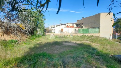SE VENDE SOLAR URBANO AL LADO DE COLEGIOS E INSTITUTOS EN ASPE