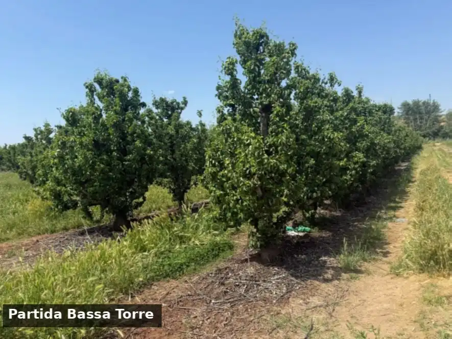Terreno en venta en Puigverd de Lleida, Lleida