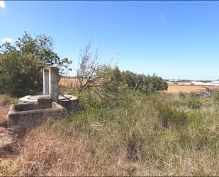 Finca rústica en venda en Puerto Real