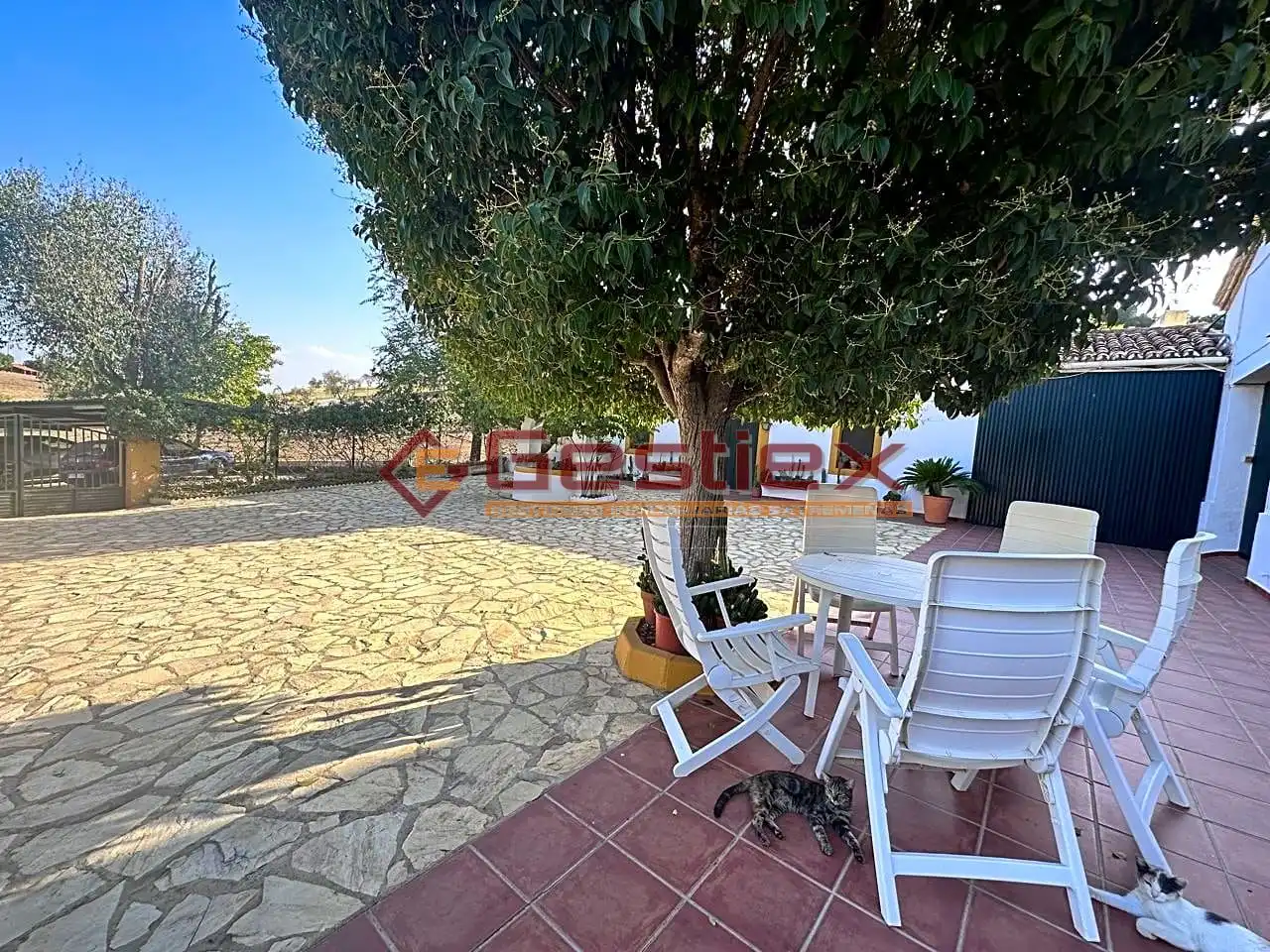 Casa amb piscina en venda a Almendralejo, imagen 13