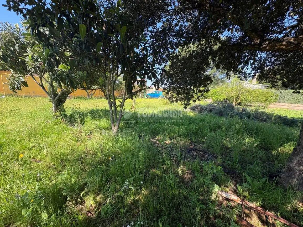 Terreno en venta en Táliga