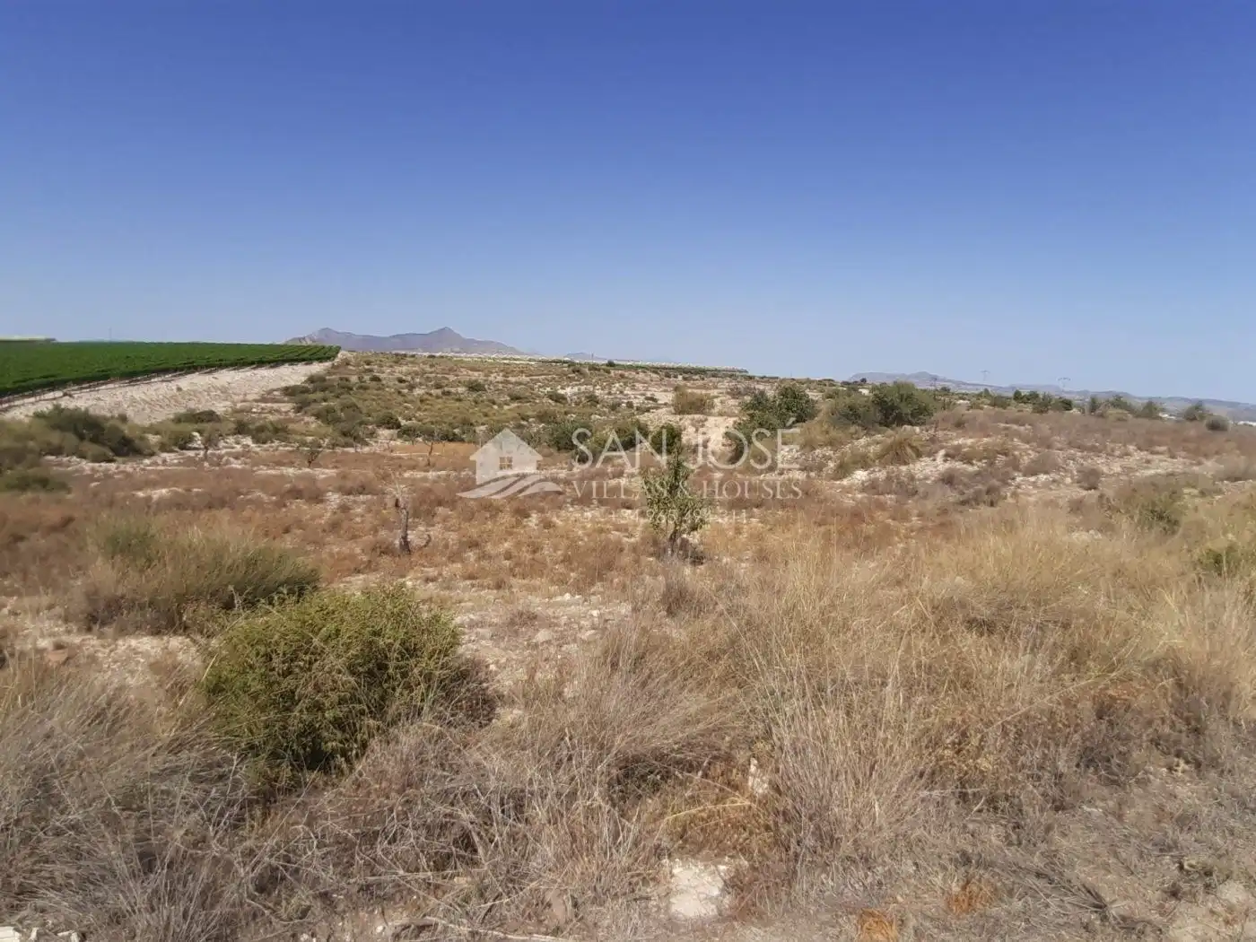 Residential land for sale in Novelda, imagen 8