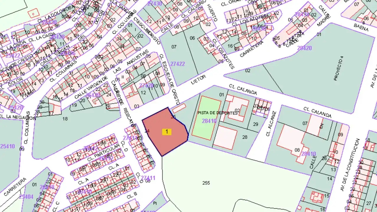 Terrenos y solares en venta en Ctra Lietor, imagen 2
