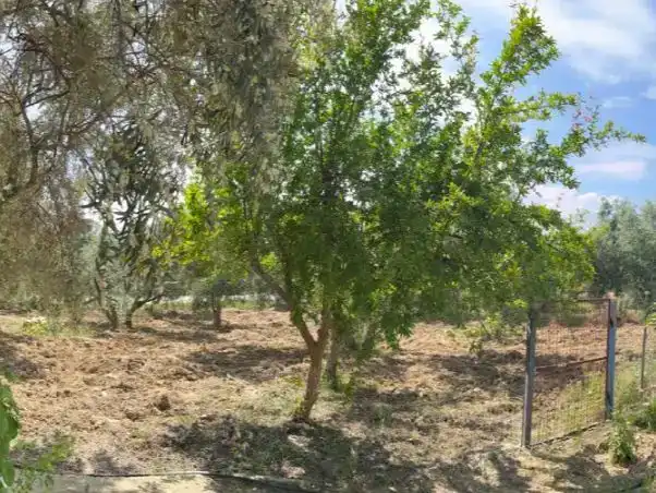 Flat for sale in Almogía, Málaga