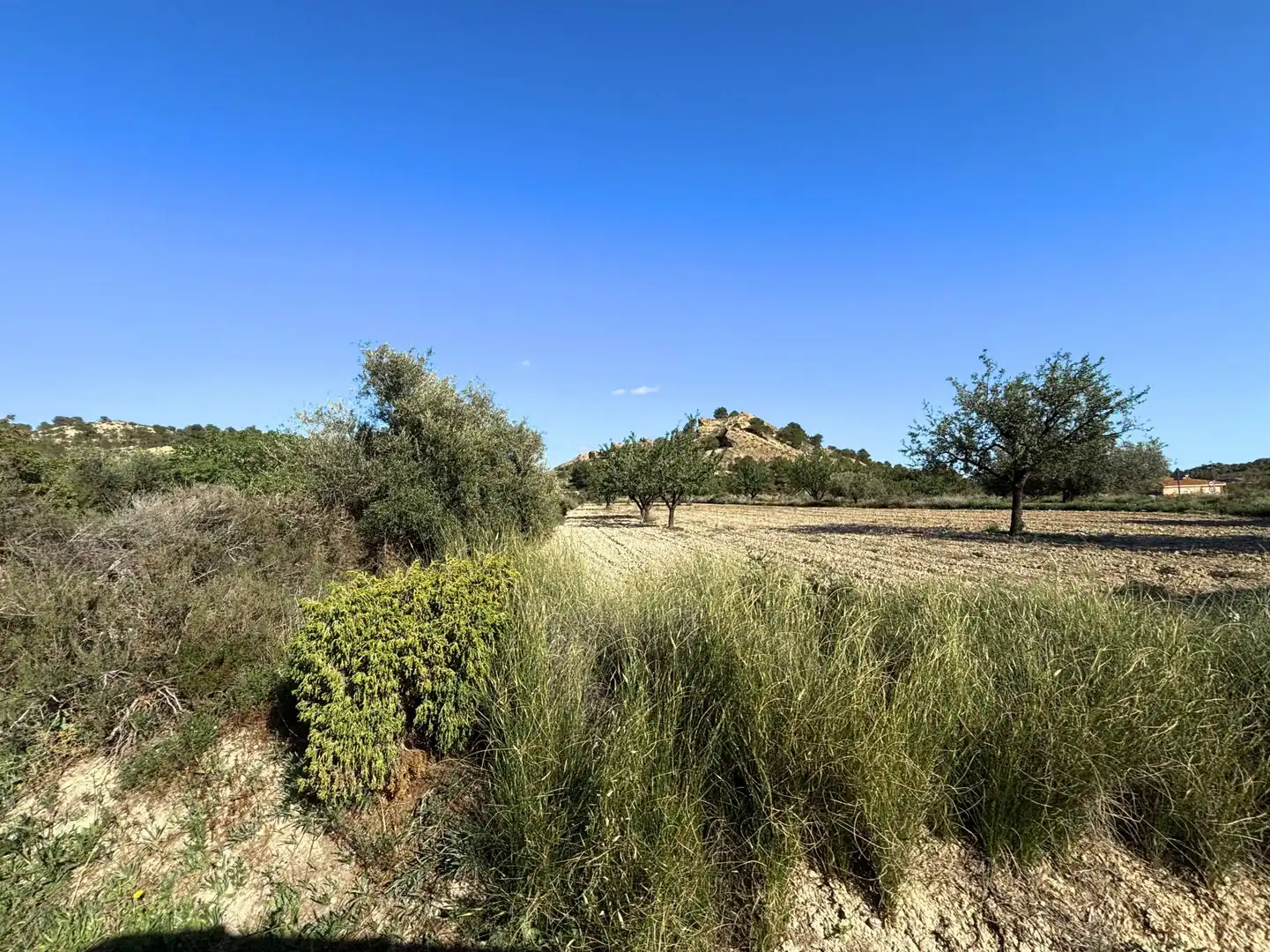 Wohnbaugrundstück zum Verkauf in Partidas de Alicante, imagen 2