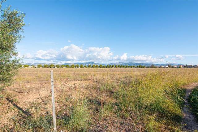 Terreno residencial en Venta en Els pla de na Tesa