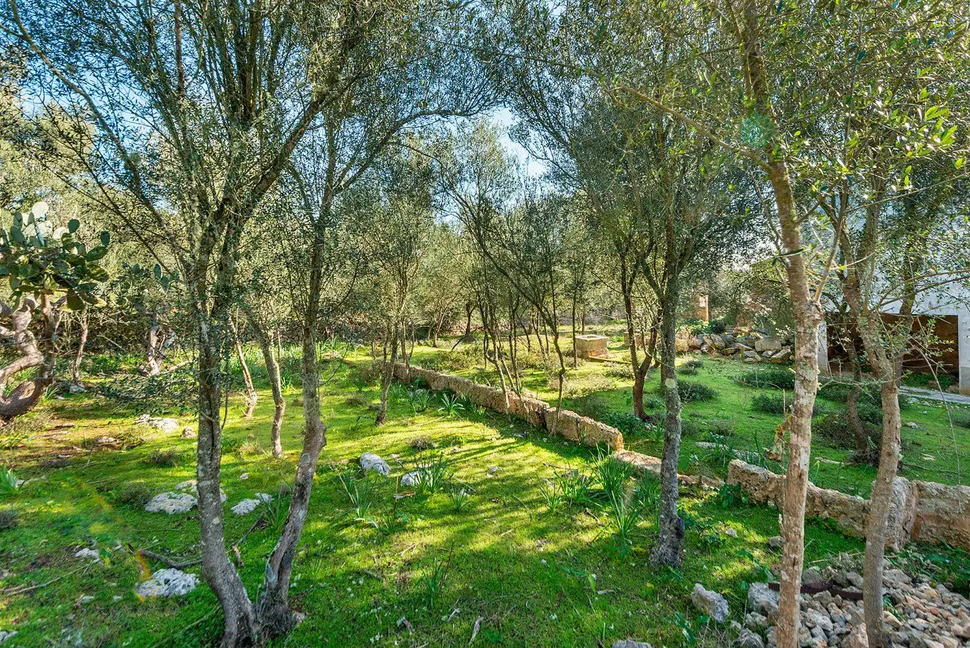 Garden of Country homes for sale in Inca