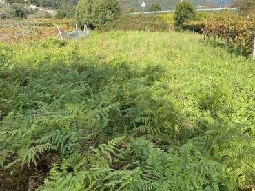 Rural land for sale in Arbo