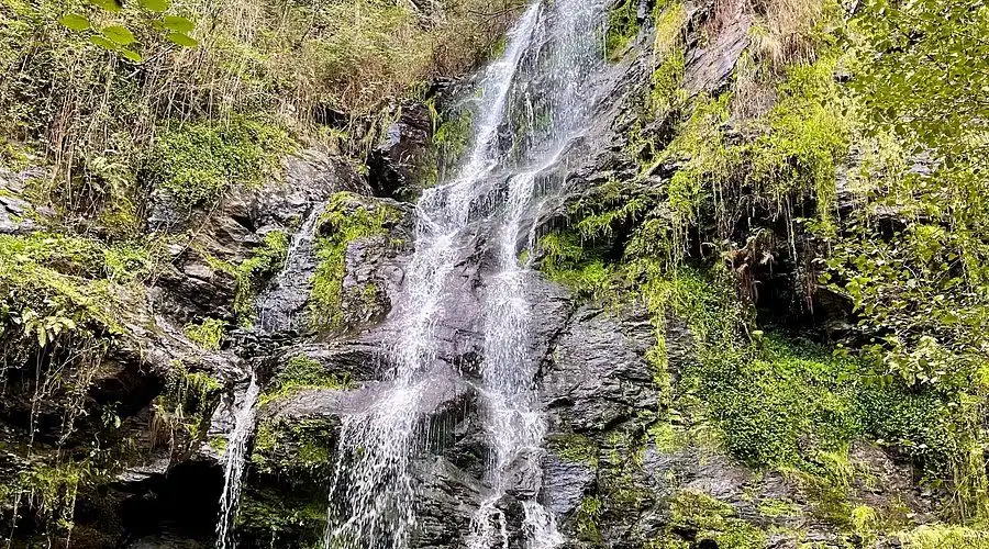 Vista exterior de Finca rústica en venta en Arzúa con Jardín privado