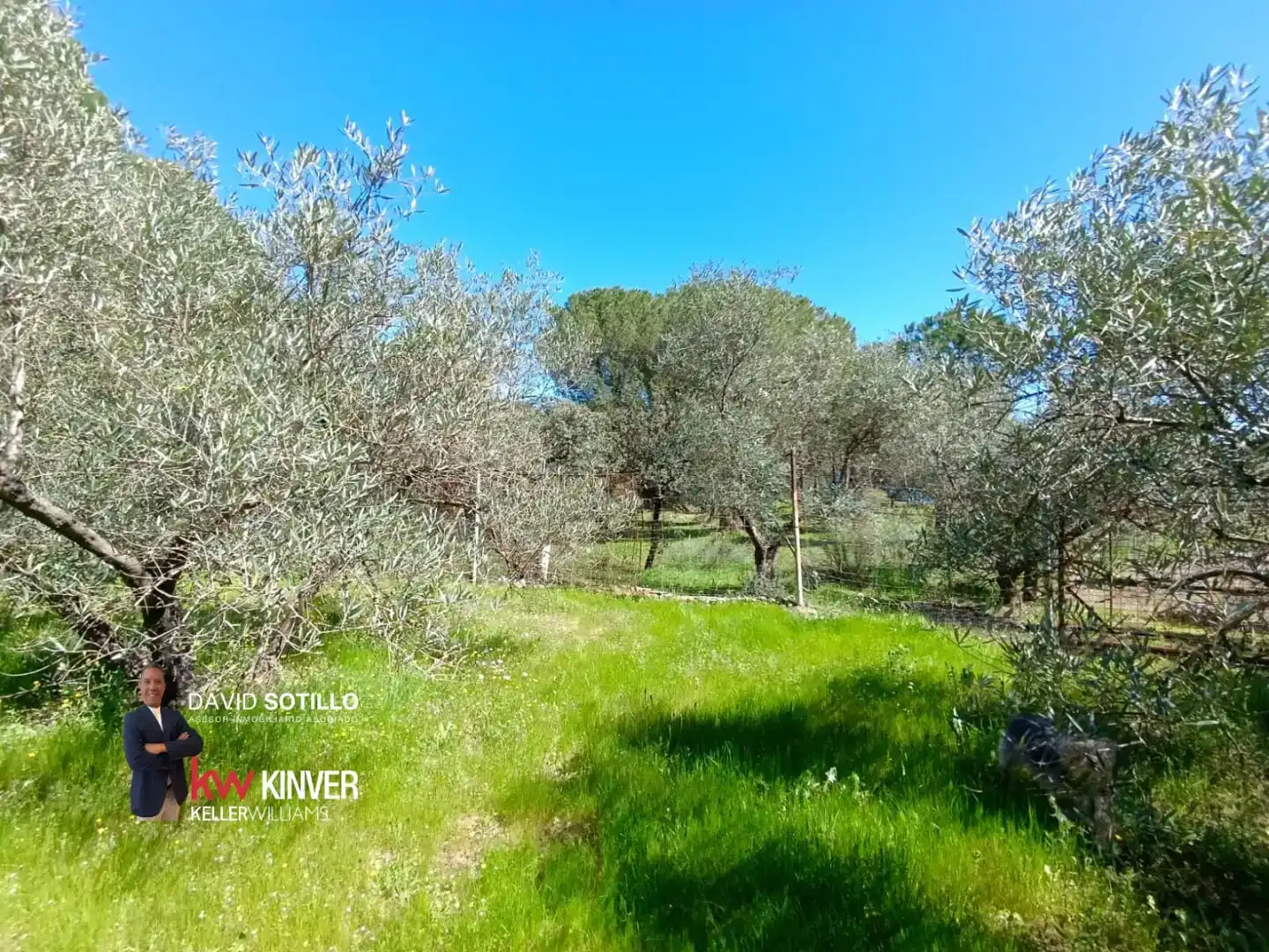 Casa o chalet en venta en Bailén con Aire acondicionado, Jardín privado y Trastero