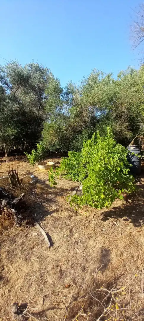 Terreni e lotti in vendita a Urbanización Casablanca, imagen 15