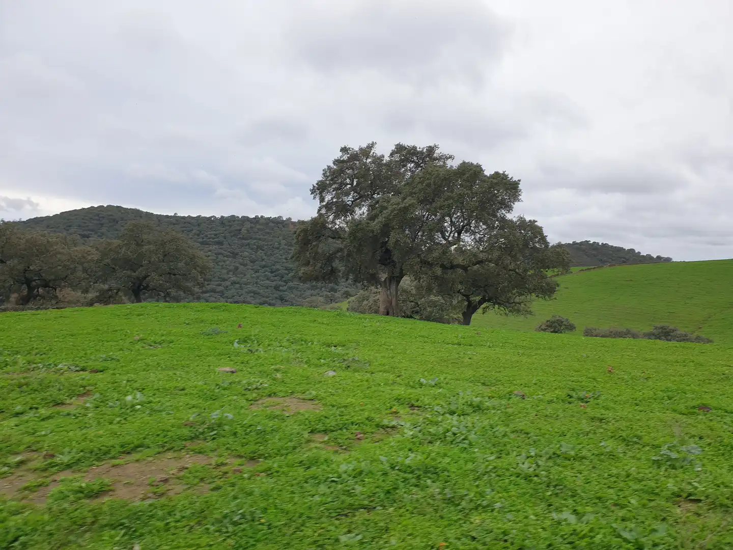Terreno en venta en Sevilla
