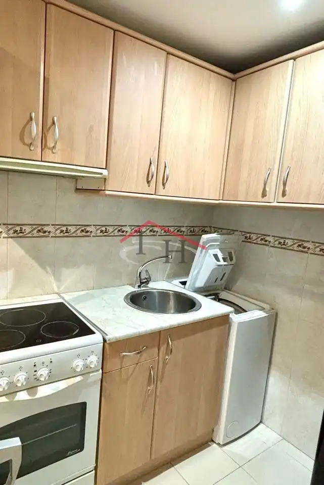 Cocina de Apartamento de alquiler en León Capital  con Calefacción y Amueblado