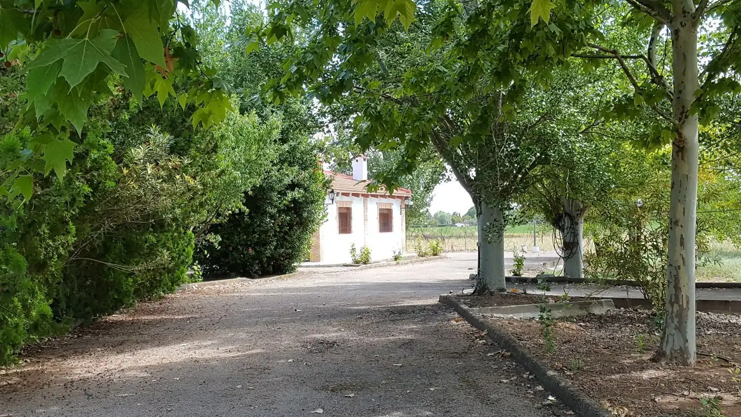 Villa mit Pool zum Verkauf in Carretera Las Casas 0, imagen 3