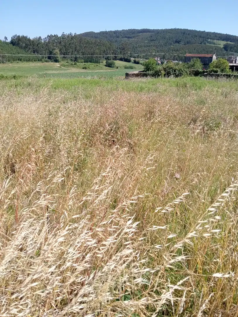 Finca rústica en venda en Ponteceso