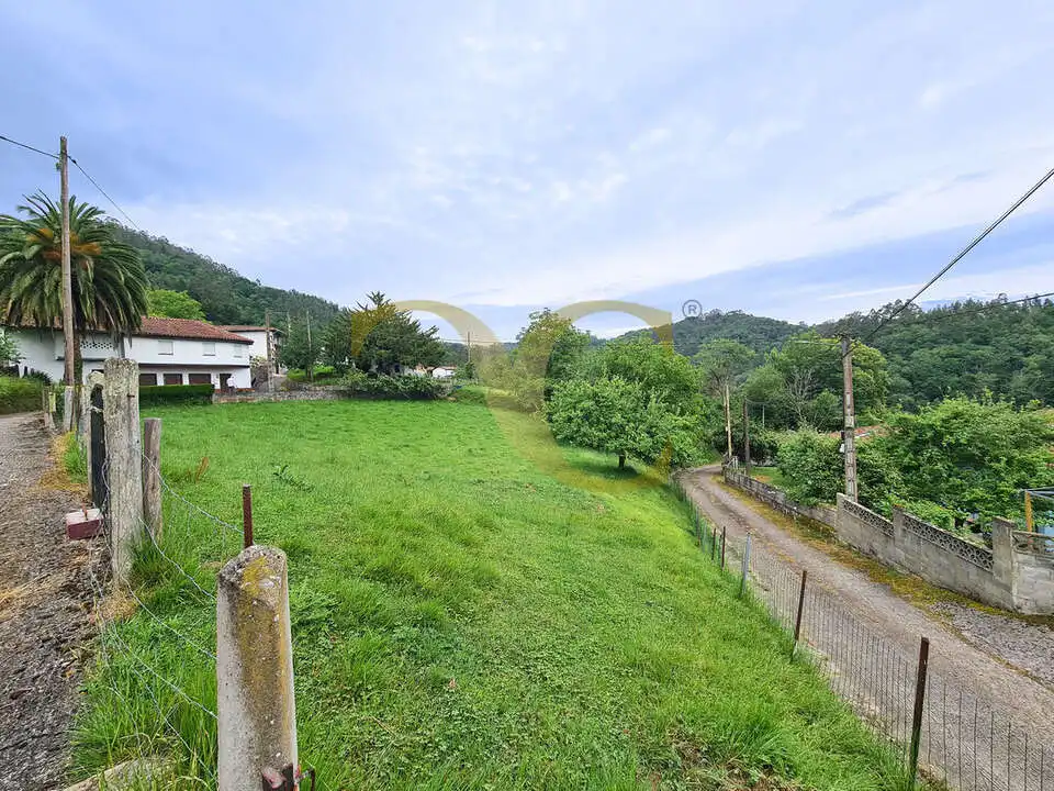 Terreno rustico in vendita a Niao, imagen 16