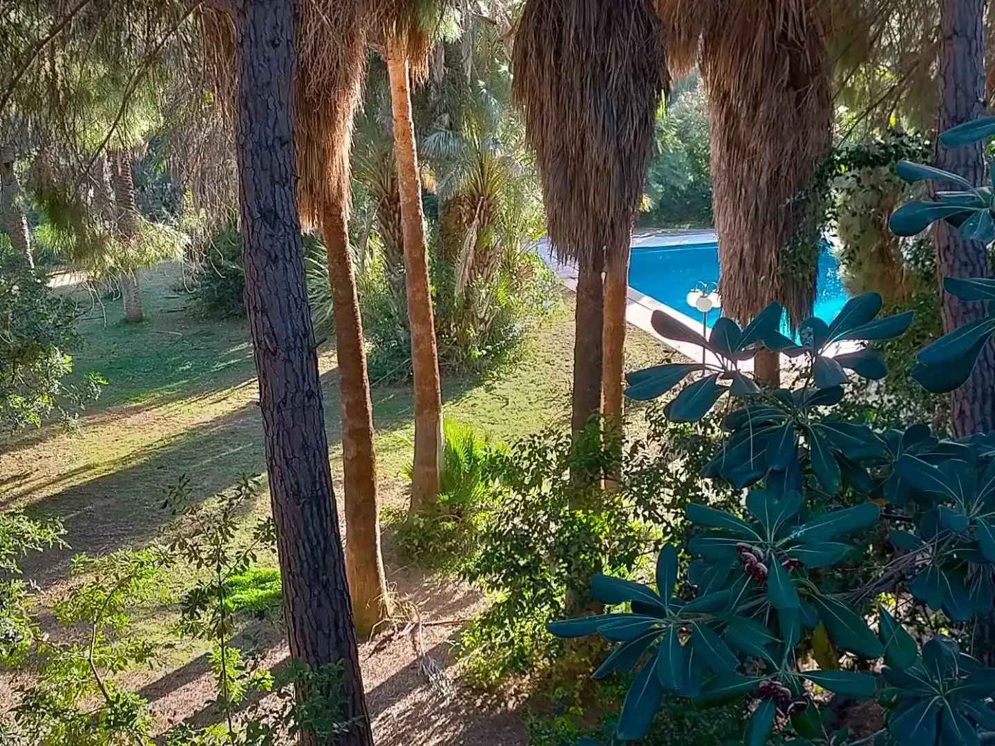 Jardí de Casa o xalet en venda en Chiva amb Aire condicionat, Piscina i Balcó