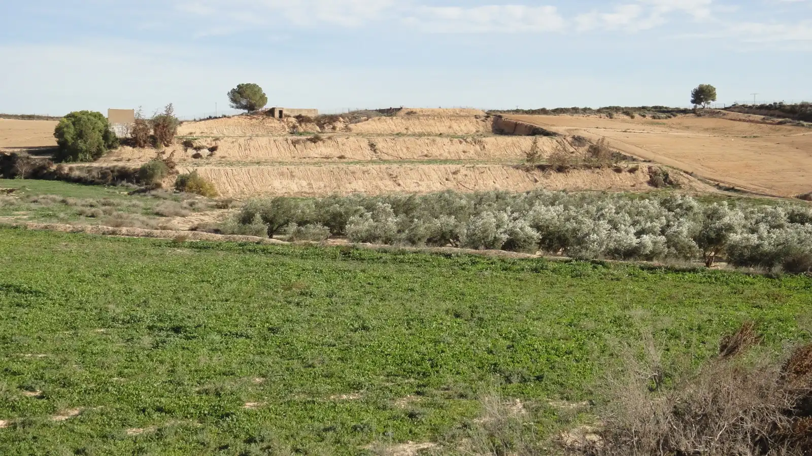 Terreno rustico in vendita a Campo de Murcia, imagen 8