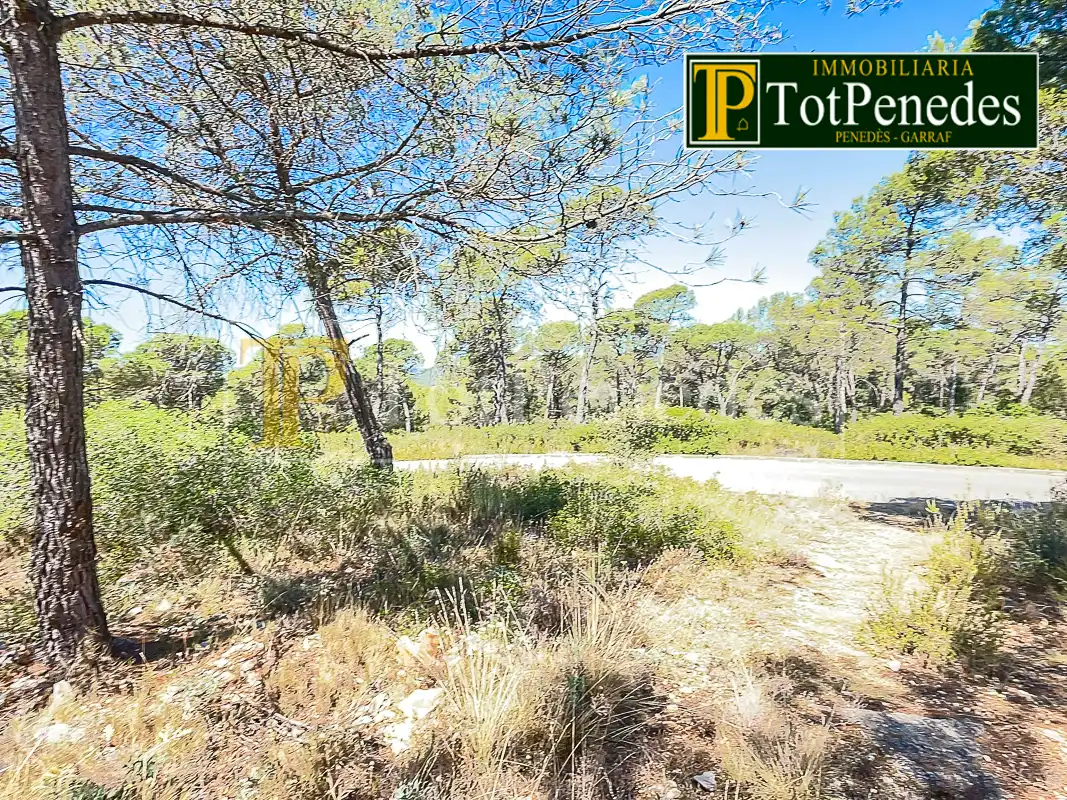 Terreny residencial en venda a Carrer Tarragona, imagen 16