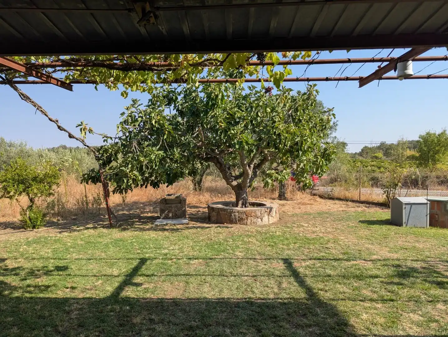 Rural land for sale in Villanueva de la Vera, imagen 15