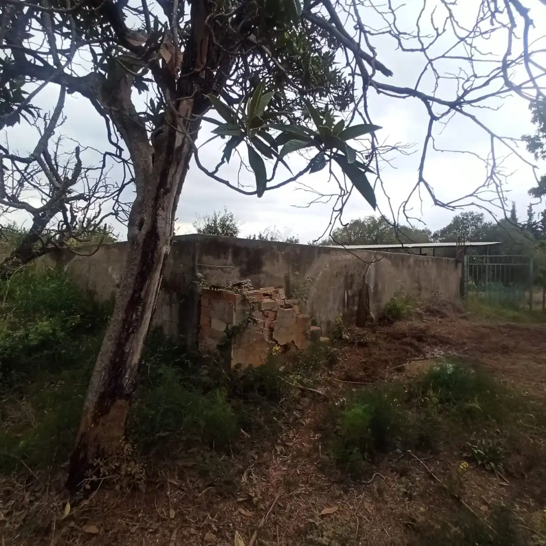 Finca rústica en venta en La Selva del Camp