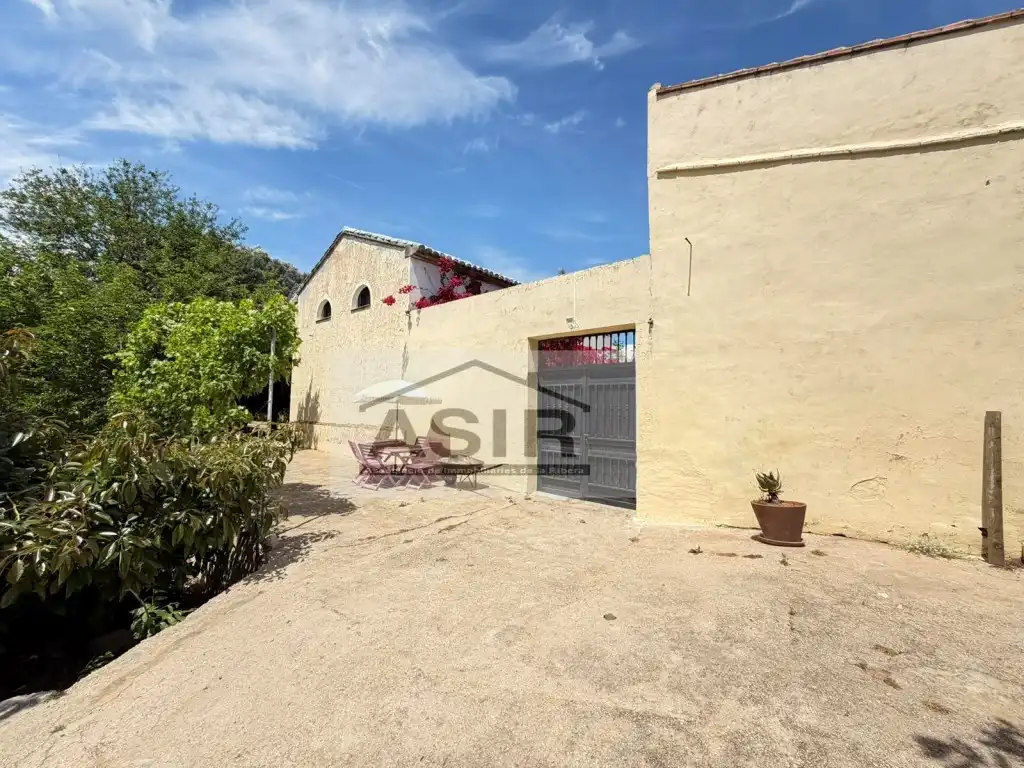 Vista exterior de Casa o chalet en venta en Alzira con Terraza y Piscina