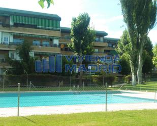 Swimming pool of Flat to rent in San Agustín del Guadalix  with Heating, Swimming Pool and Furnished