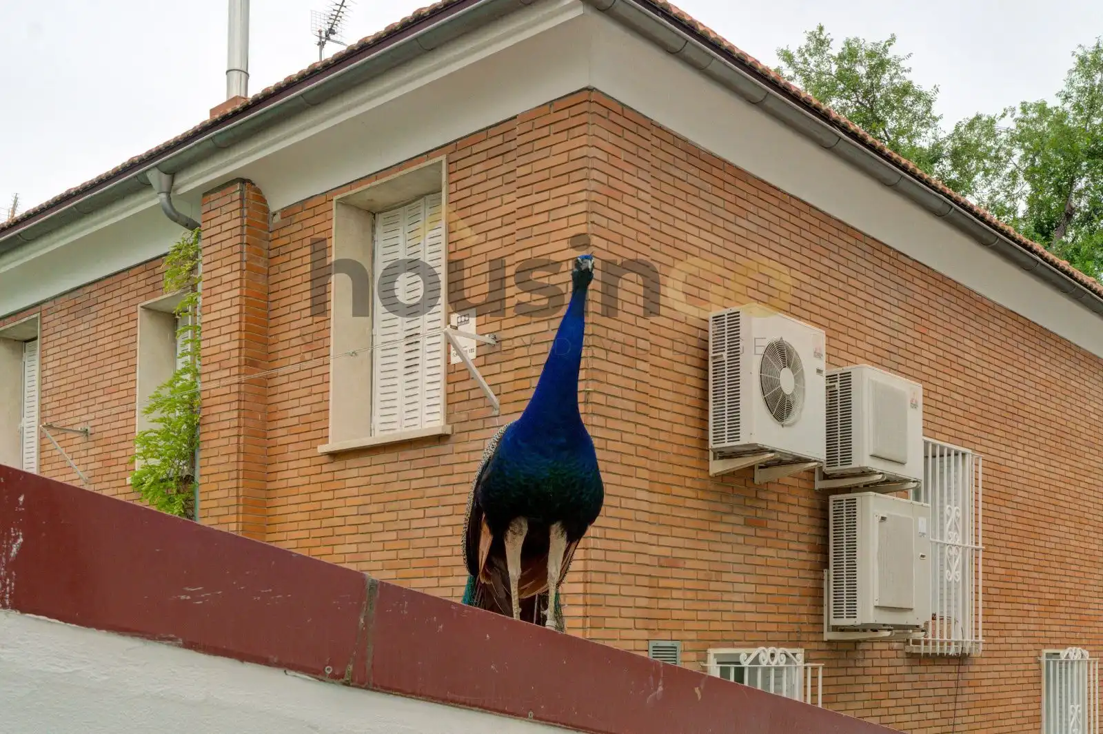 Casa o xalet en venda a Fuente del Berro