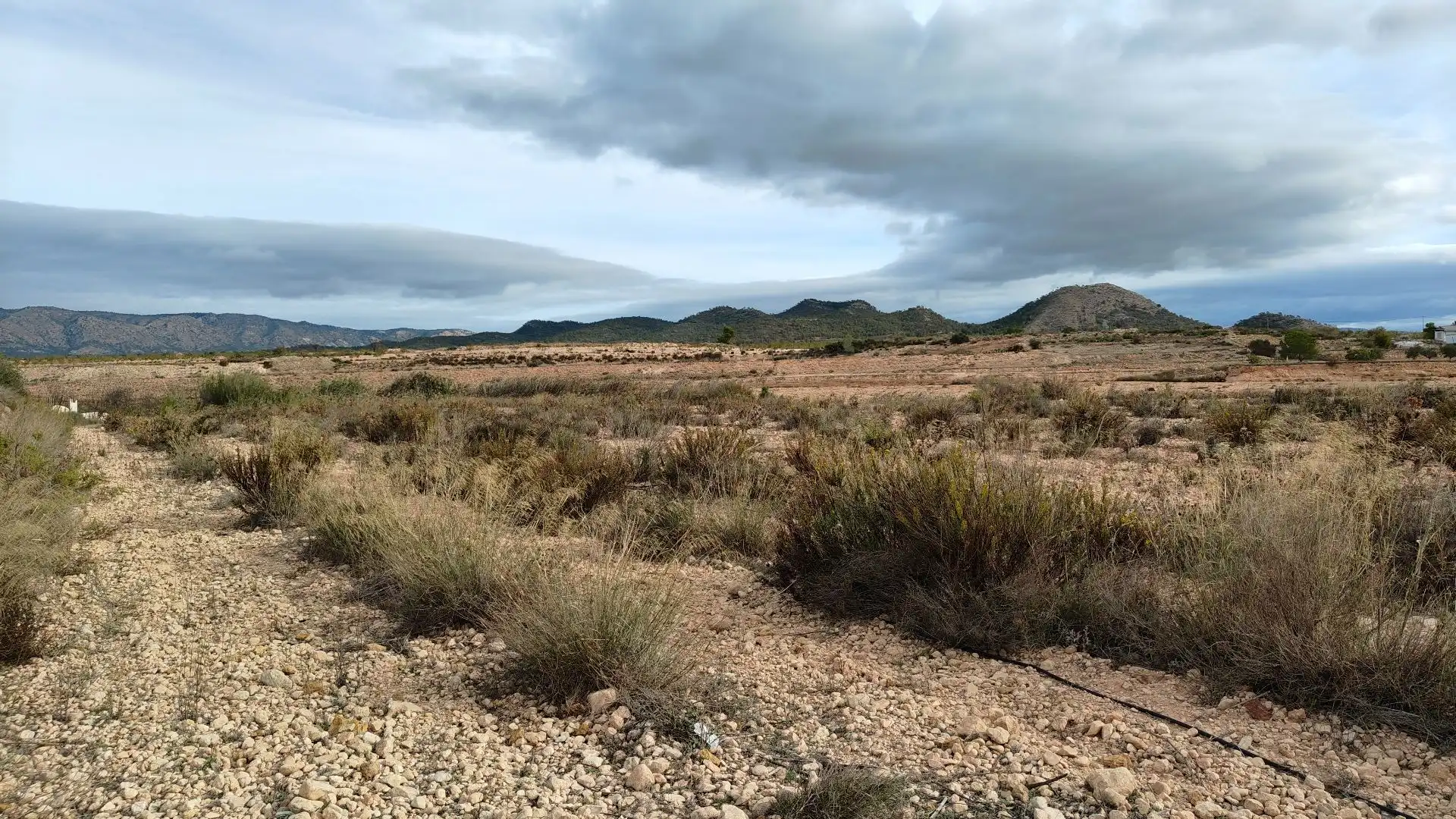 Rural land for sale in Monóvar  / Monòver, imagen 9