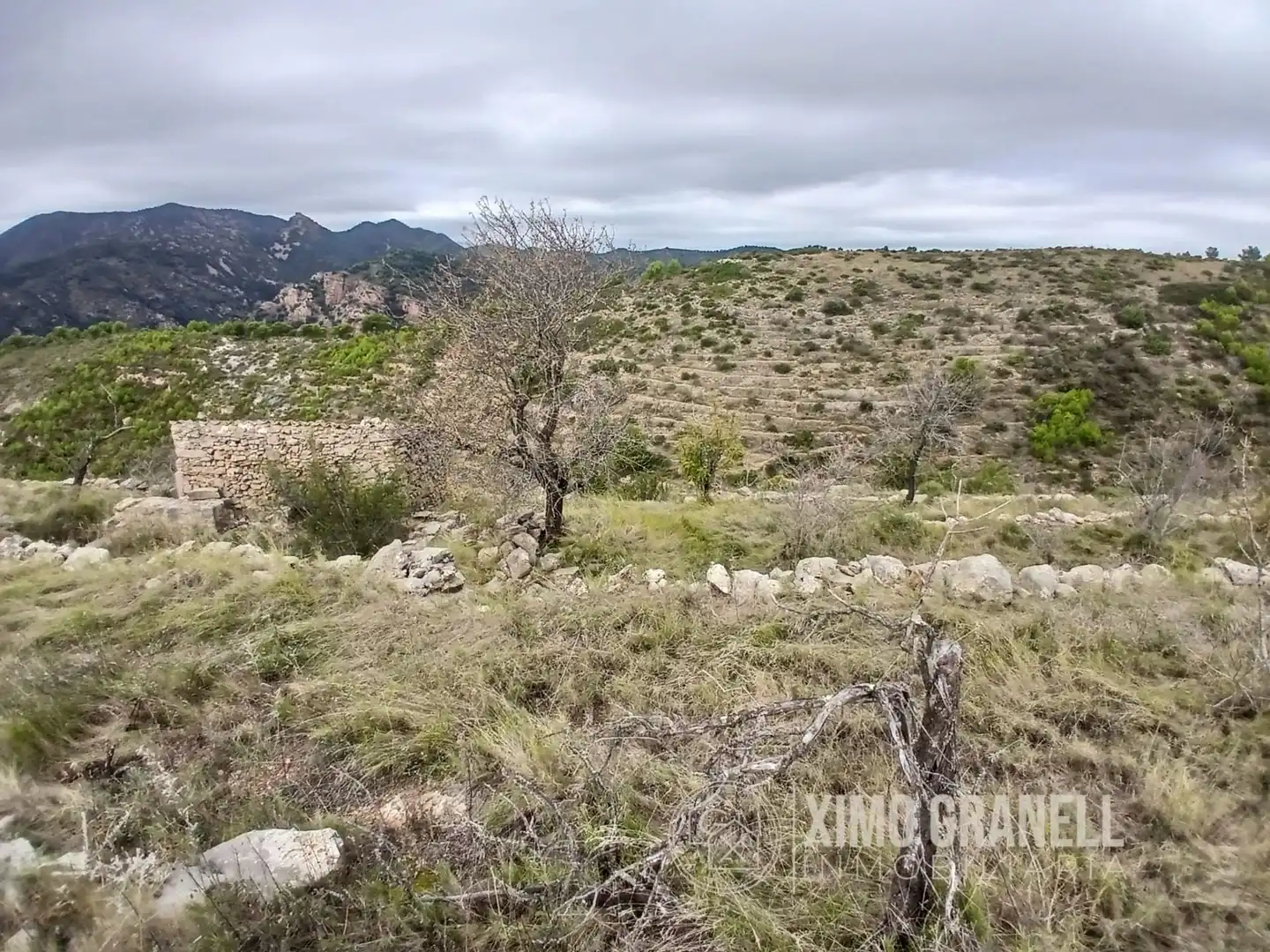 Terreny rústic en venda a La Vall d'Uixó, imagen 23