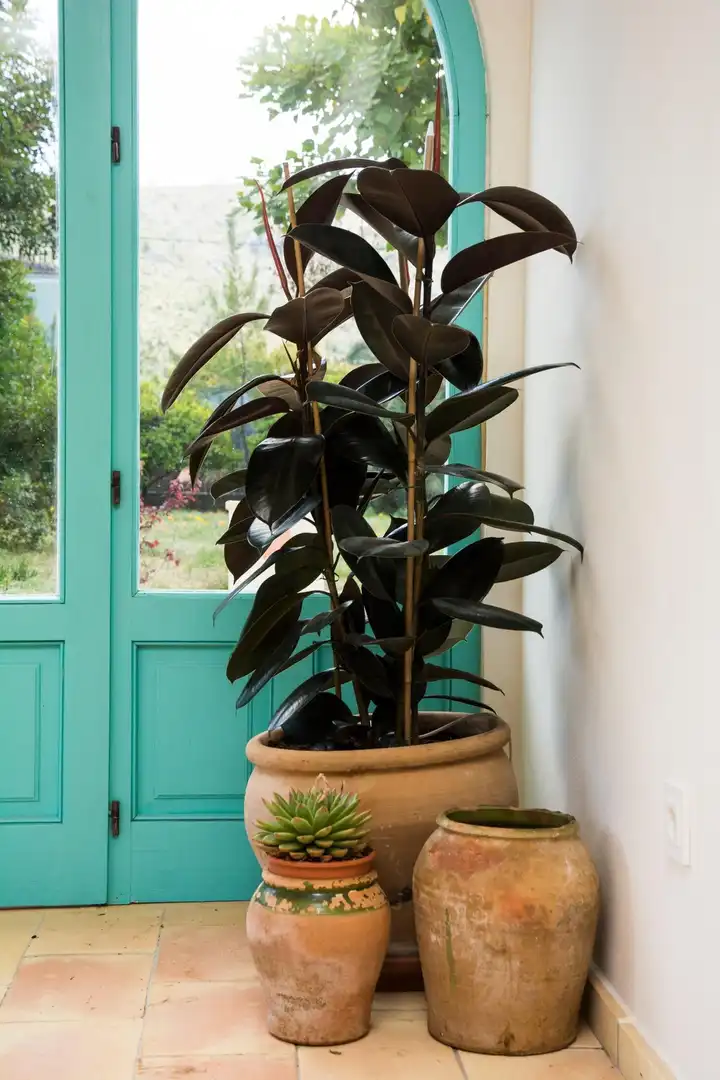 Garden of Houses for rent in Pedreguer  with Air Conditioner, Heating and Private garden
