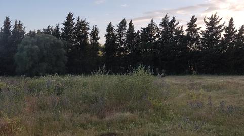 Foto 3 de Finca rústica de alquiler en Vejer, Cádiz