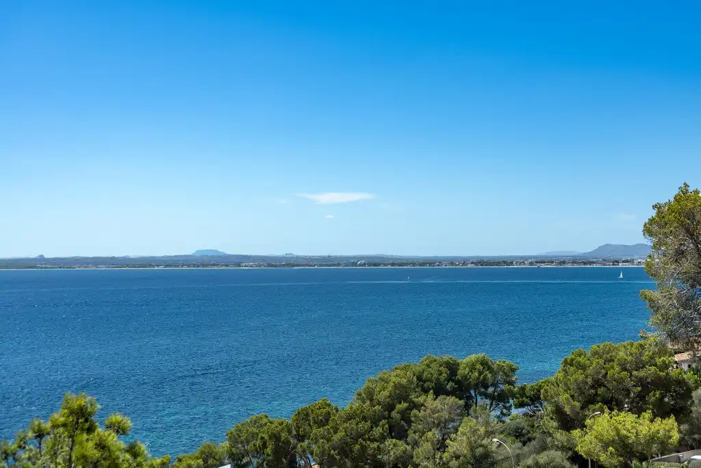Casa o chalet en venta en Port d'Alcúdia - Platja d'Alcúdia