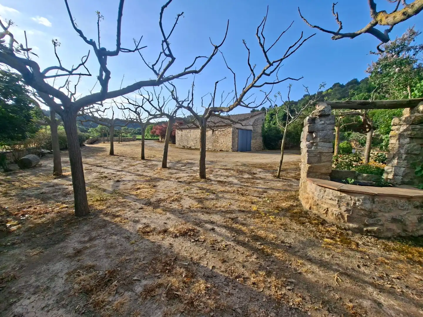 Terreno rústico en venta en Vallbona de Les Monges, imagen 10