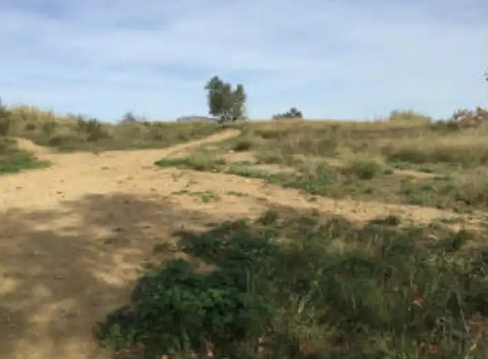 Rural land for sale in Carrer de Sant Mateu, imagen 2
