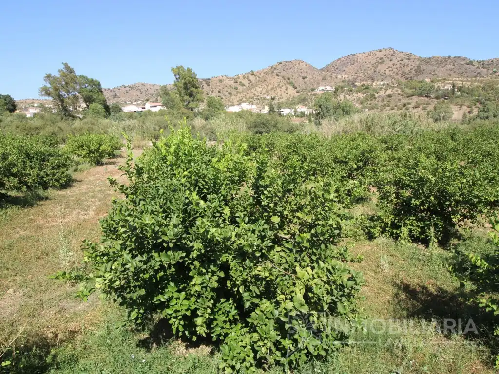 Casa o xalet en venda en Álora amb Aire condicionat, Jardí privat i Terrassa