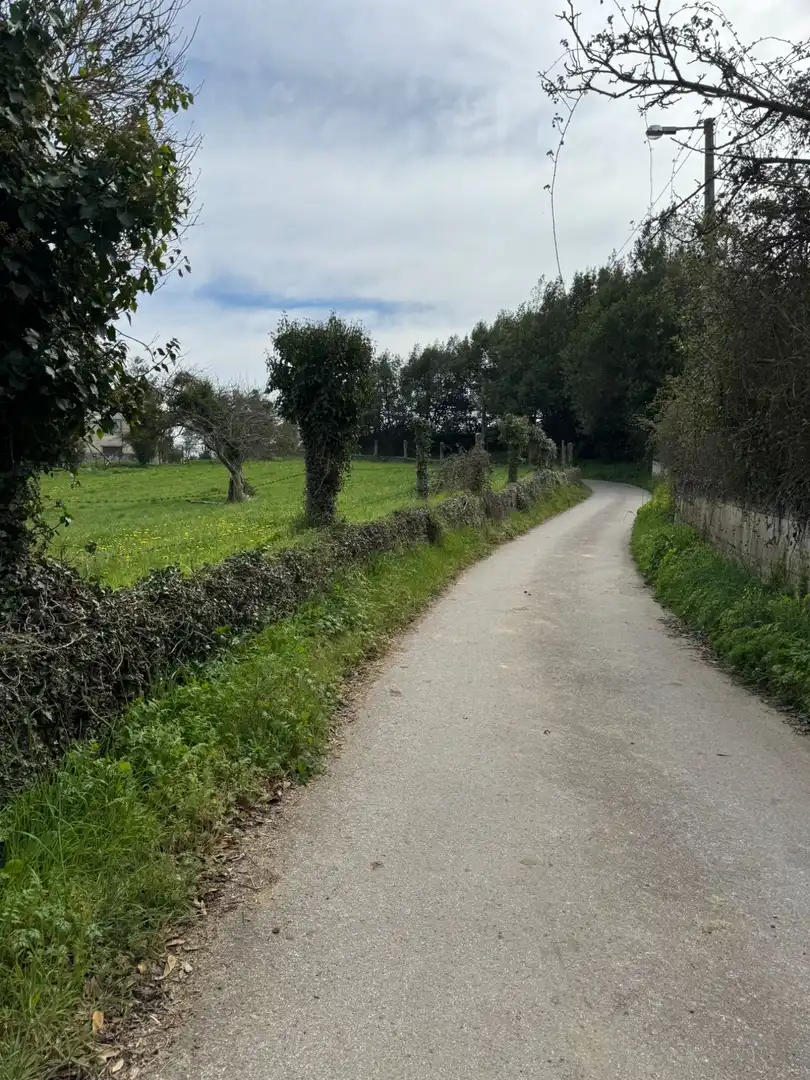 Residencial en venda a San Miguel - CAMÍN DE LOS LLOREOS, El Berrón - La Carrera