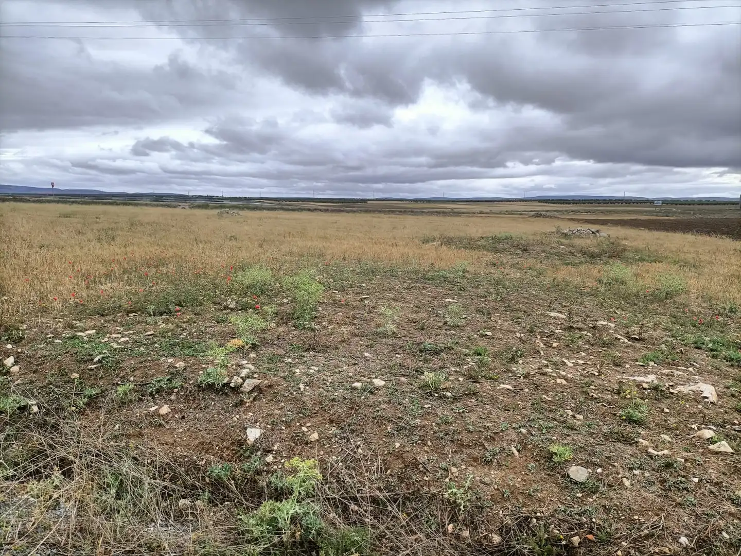 Terreny rústic en venda a Almonacid de Toledo, imagen 7