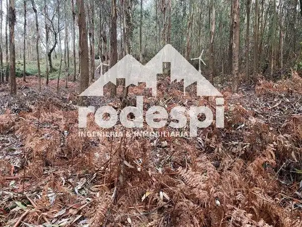 Casa o chalet en venta en Arbo